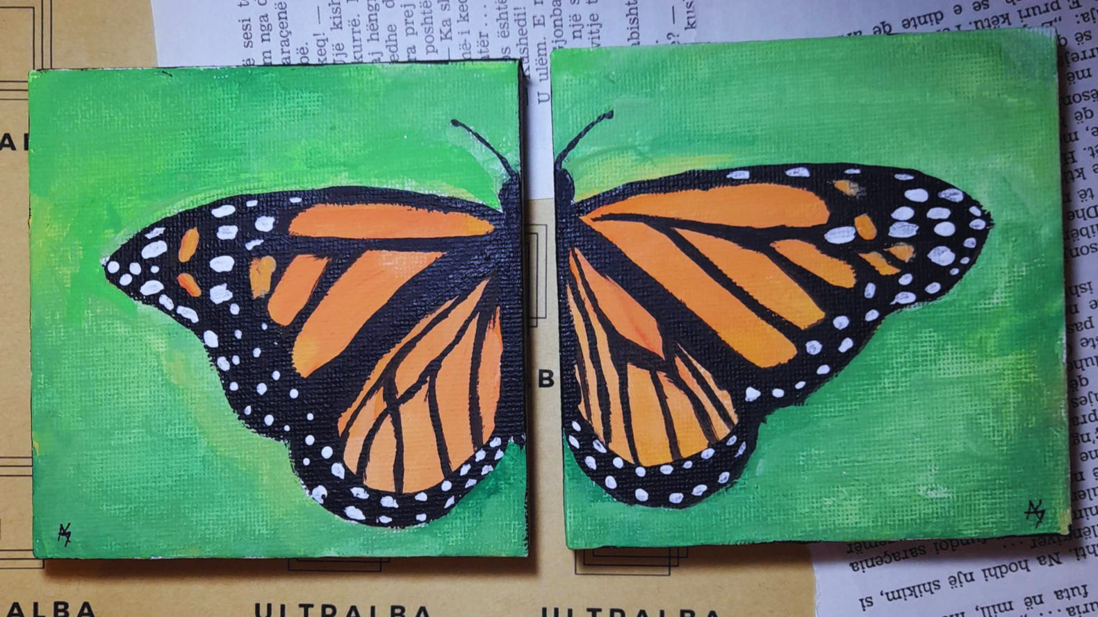 334906201_1201197280530438_6371944829141533497_n - Edited